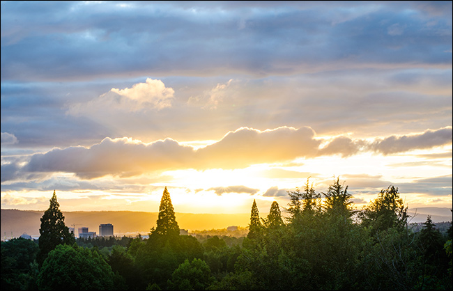 Portland in the Sun